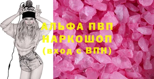 PSILOCYBIN Белокуриха