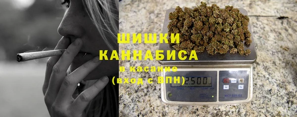 PSILOCYBIN Белокуриха