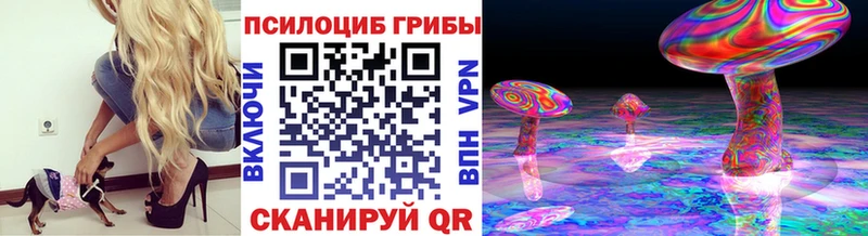 Галлюциногенные грибы Cubensis  Гай 